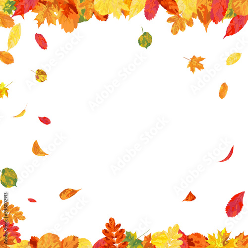 Autumn Leaves Background