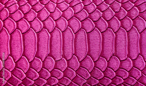 Beautiful red, pink bright snake or crocodile skin, reptile skin texture, multicolored close-up as a background.