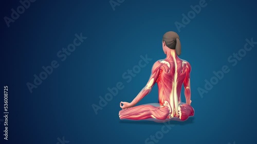 3D human Siddhasana with hand mudra yoga Pose on blue background, loopable  photo