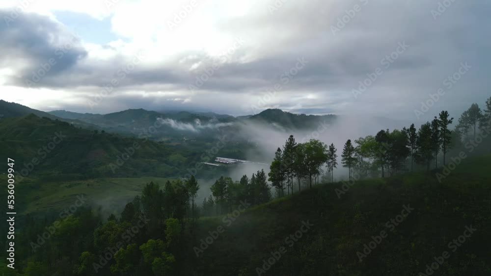 A cinematic reveal shot of fogs and pine trees in Malaybalay Bukidnon Philippines