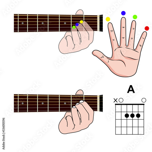 Guitar Chord Basic and Hand Position for Guitar Chord vector. Freestyle Chord.
