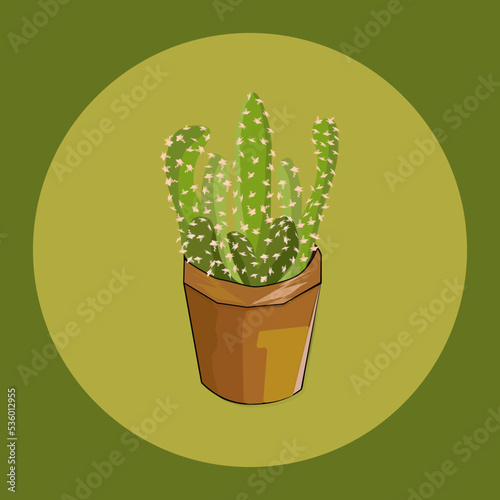 Cactus