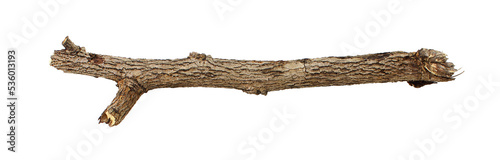 Branches