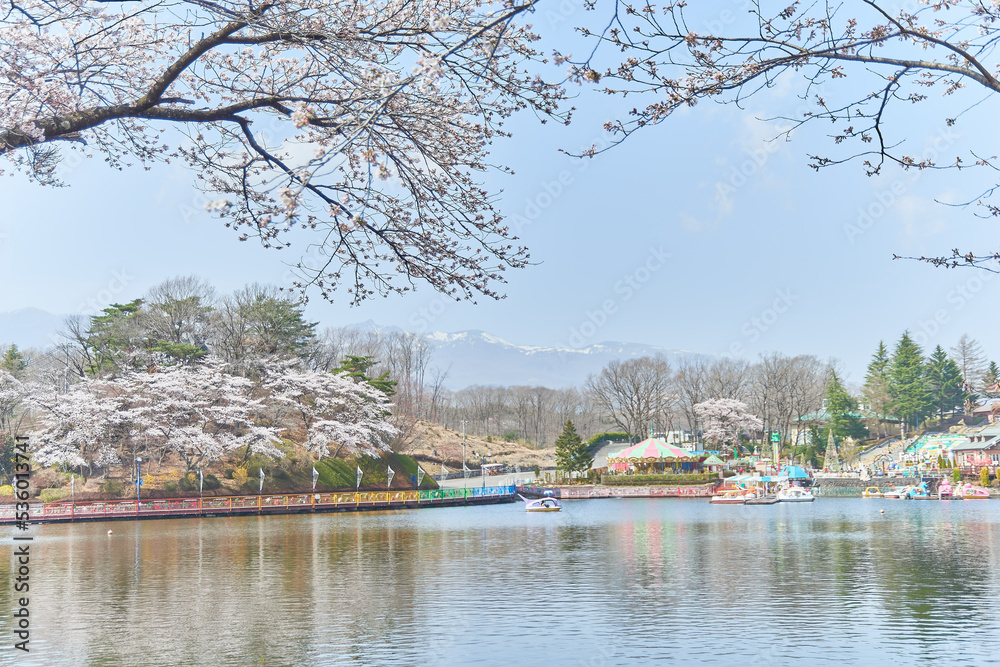 Fototapeta premium 栃木県那須のりんどう湖ファミリー牧場