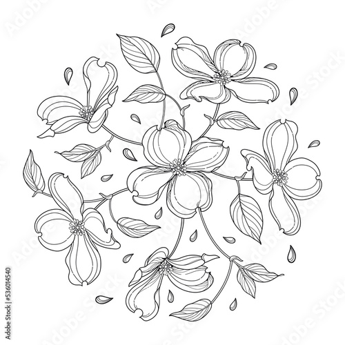 Round bouquet of outline American dogwood or Cornus Florida flowers and leaves in black isolated on white background. 