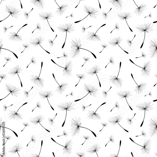 Floral background seamless pattern of black and white with Dandelion seeds are blowing seamless vector. Trend stylish wallpaper. Vector illustration. Dandelion seeds are blowing seamless vectors.