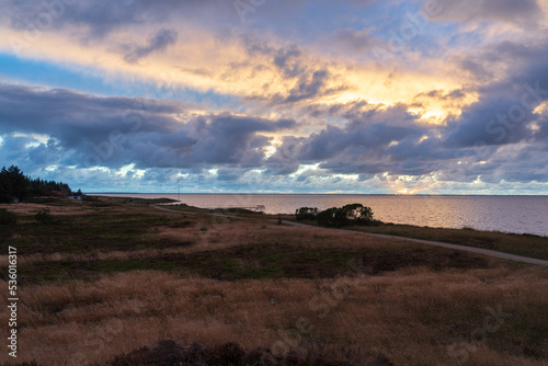 Ringkøbing Fjord lake near skaven strand, bork havn at sunset with shore and lake, grass, trees and heather flowers