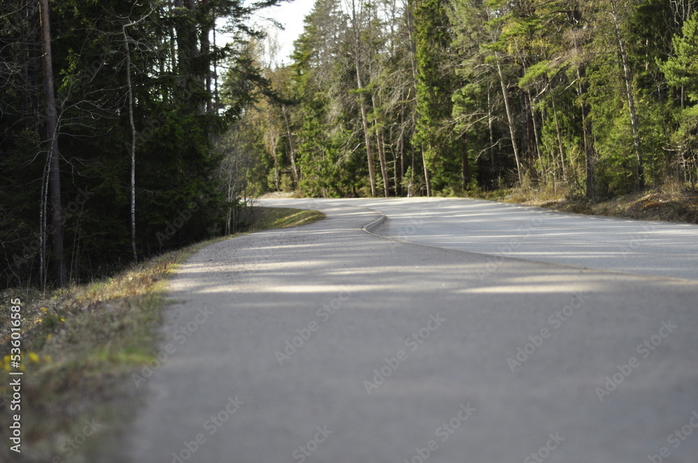 Travel through countryside with curve roads. Summer landscape scenery in wooden areas. Green needle trees are decorative. Travel through countryside with curve roads. Summer landscape scenery in wooden areas. Green needle trees are decorative.