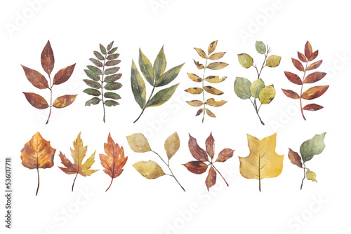 Watercolor Autumn Flower