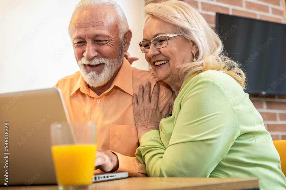 Smiling senior couple using laptop at home in living room. Smiling senior couple using laptop at home in living room.