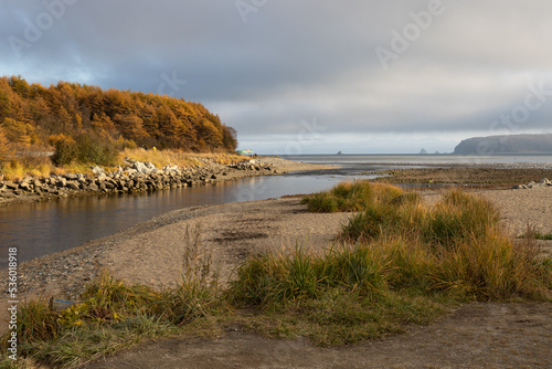 Beautiful autumn landscape. View of the mouth of the river and the sea bay. Autumn larch forest on the coast. Beach umbrellas on the shore. Gertner Bay, Sea of Okhotsk, Magadan Region, Far East Russia