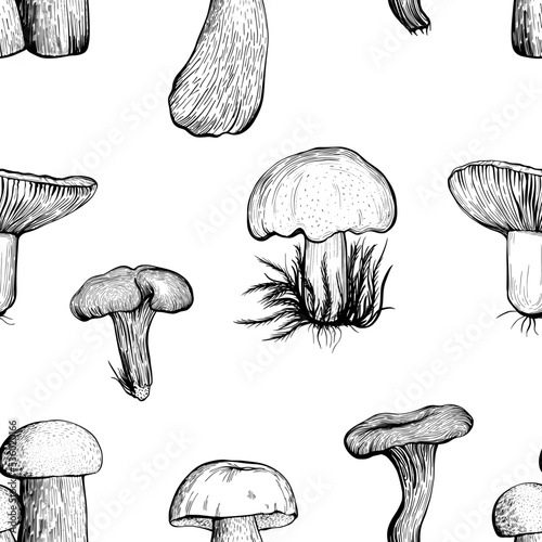 Seamless pattern with forest assorted mushrooms on a white background. Hand drawn vector illustration