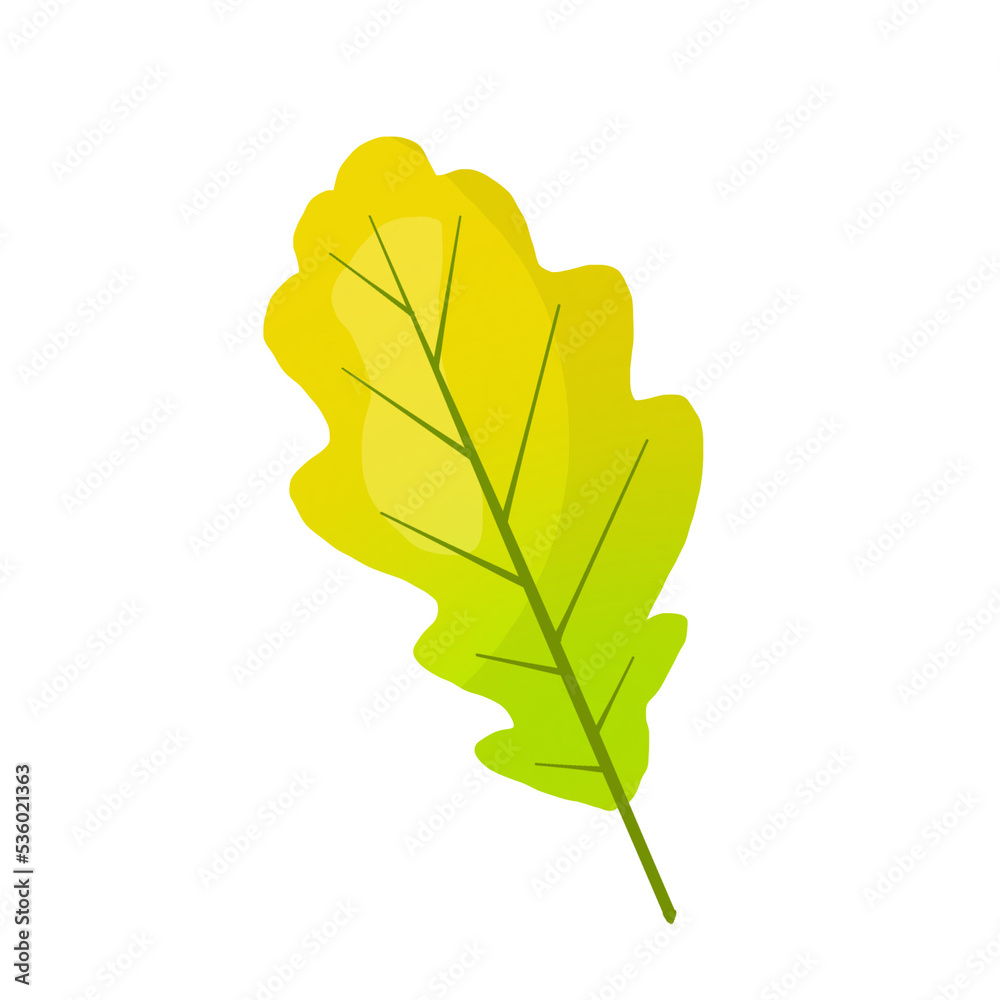 Obraz premium leaf isolated on white
