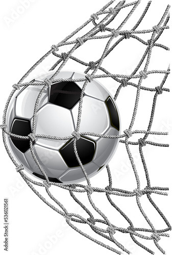 soccer ball in the goal net