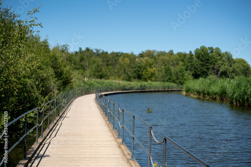 boardwalk with railings on a lake