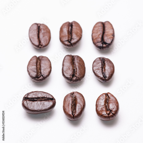 Rows of coffee beans order aligned, organization concept, close-up macro still life on white background