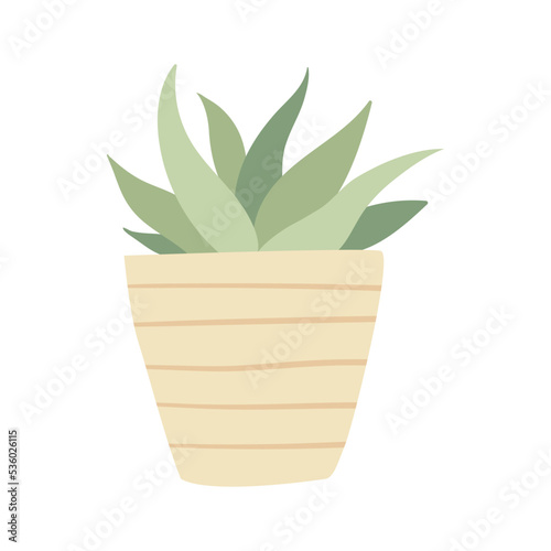 Decorative home plant in pot cartoon vector illustration. Cozy houseplant isolated on white background