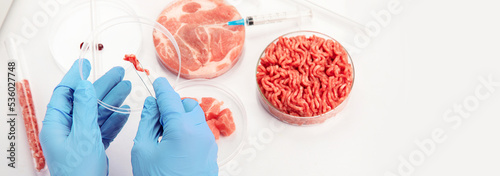 Petri dish with cultured meat in laboratory