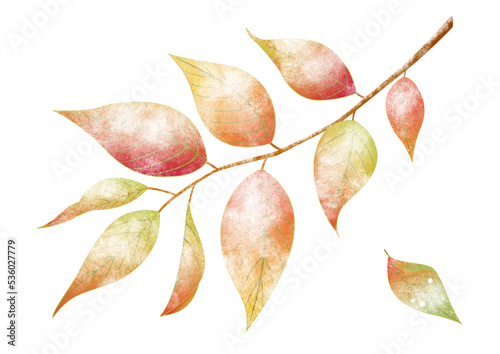 雪の積もった木の葉