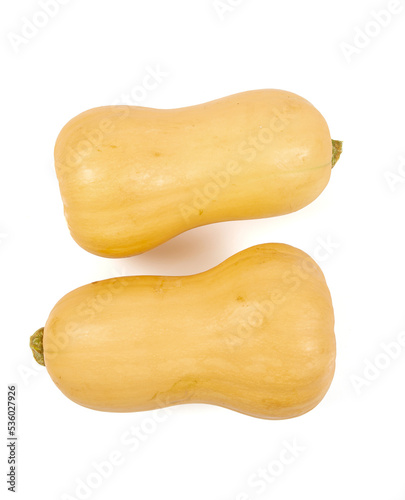 Fresh butternut squash isolated on a white background, Butternut Pumpkin isolated on white background. Healthy food concept.