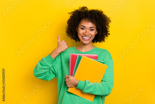 Photo of cheerful pretty lady hand finger demonstrate thumb up isolated on yellow color background
