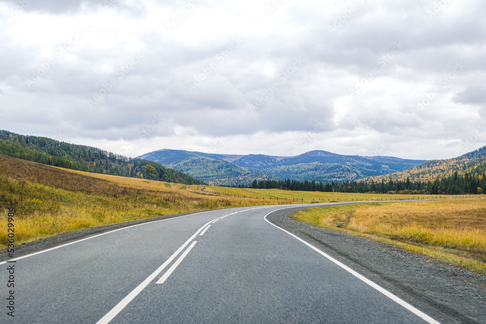 Fototapeta premium Mountain roadway. Road in autumn forest in Siberia. Trees with orange foliage. Landscape with empty asphalt road through woodland, blue sky, high rocks in fall. Travel concept. 