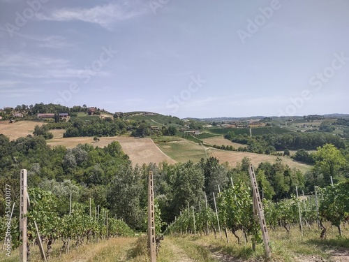 Countryside in Langhe Piedmont region in Italy with vineyards