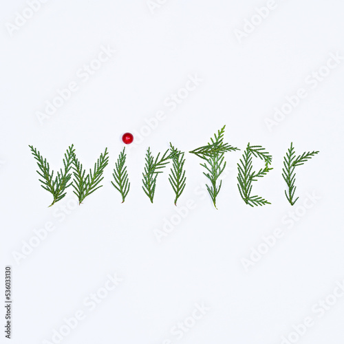 Creative Winter text writen with fir branches on white background. Flat lay