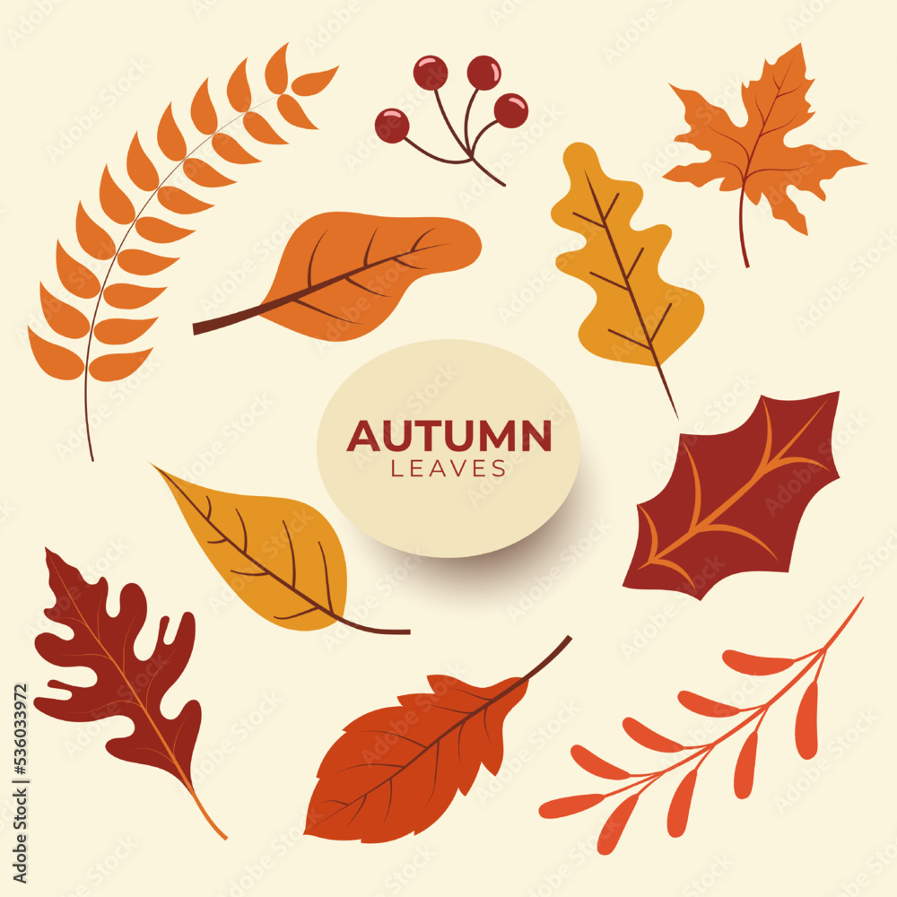 Hand draw autumn leaves element design illustration,doodle leaves,poster design