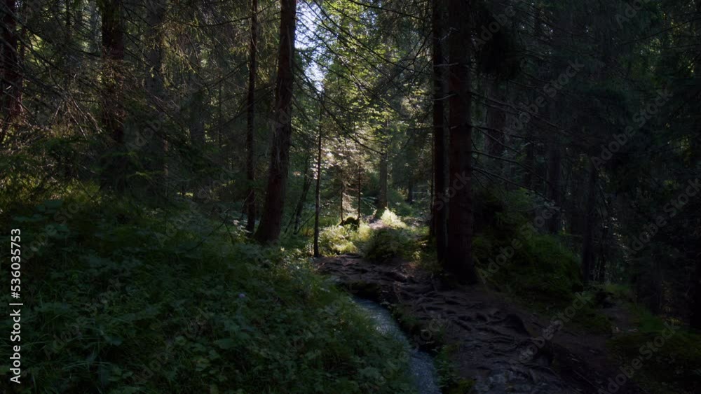 Forest Woods Landscape in Sunny Morning in Summer, Trees Green Vegetation and Creek of Water Stream on Soil Ground Through Forest, Caumasee Flims Switzerland Forest Woods Landscape in Sunny Morning in Summer, Trees Green Vegetation and Creek of Water Stream on Soil Ground Through Forest, Caumasee Flims Switzerland