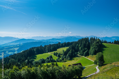 Austria, Endless panorama view above tree tops, forest nature landscape alps mountains in hiking region view from pfaender mountain on sunny day