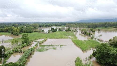 Top view Aerial photo from flying drone.Flooded rice paddies.Flooding the fields with water in which rice sown. View from above.
