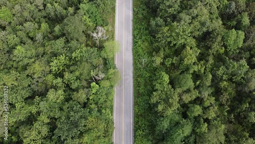 Aerial view of a forest in thailand.