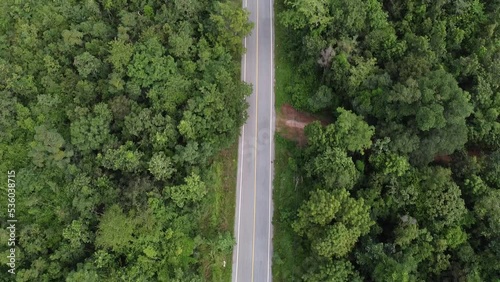 Aerial top view rural road in the forest, dirt road or mud road and rain forest, Aerial view road in nature, Ecosystem and healthy environment