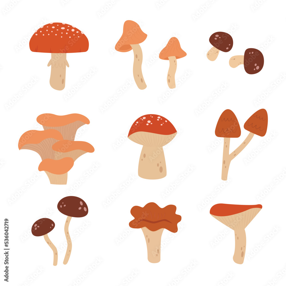 Mushroom set on isolated vector illustration set.Cartoon mushrooms. Poisonous and edible mushroom.Forest wild autumn mushrooms. Mushroom set on isolated vector illustration set.Cartoon mushrooms. Poisonous and edible mushroom.Forest wild autumn mushrooms.