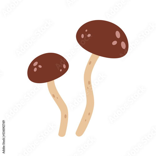 Fungi mushroom icon.Forest mushroom on isolated background.Wild forest mushrooms in autumn. Vector illustration cartoon flat style