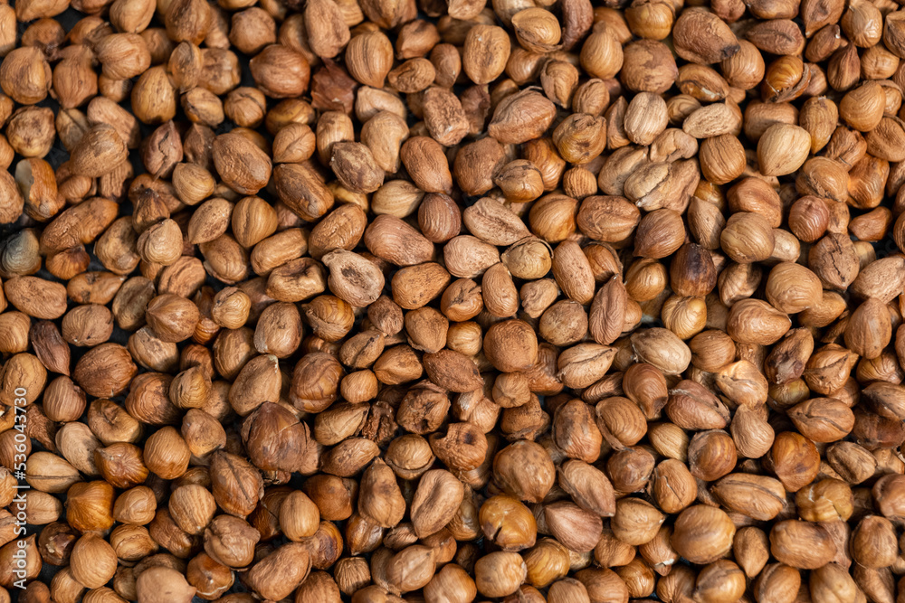 background of already peeled hazelnuts top view background of already peeled hazelnuts top view