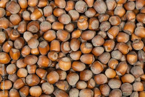 background of hazelnuts top view