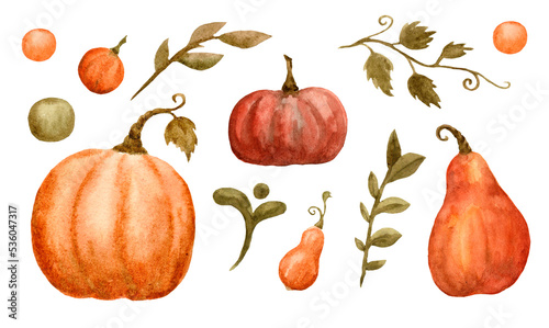 set of orange and red pumpkins of various shapes and other watercolor elements