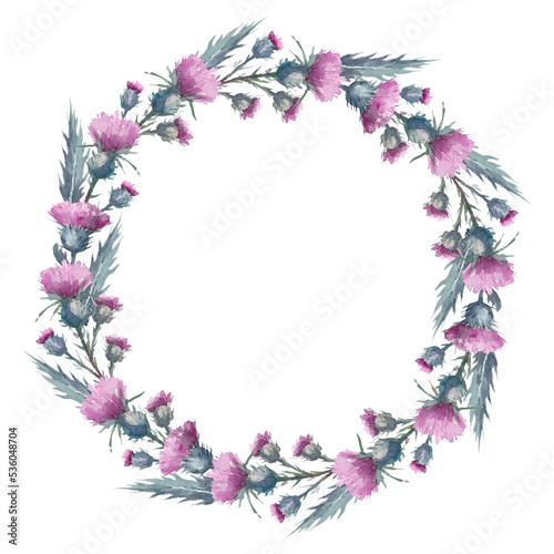 Purple plume thistle. Hand-drawn watercolor wreath. Artistic illustration on a white background. 