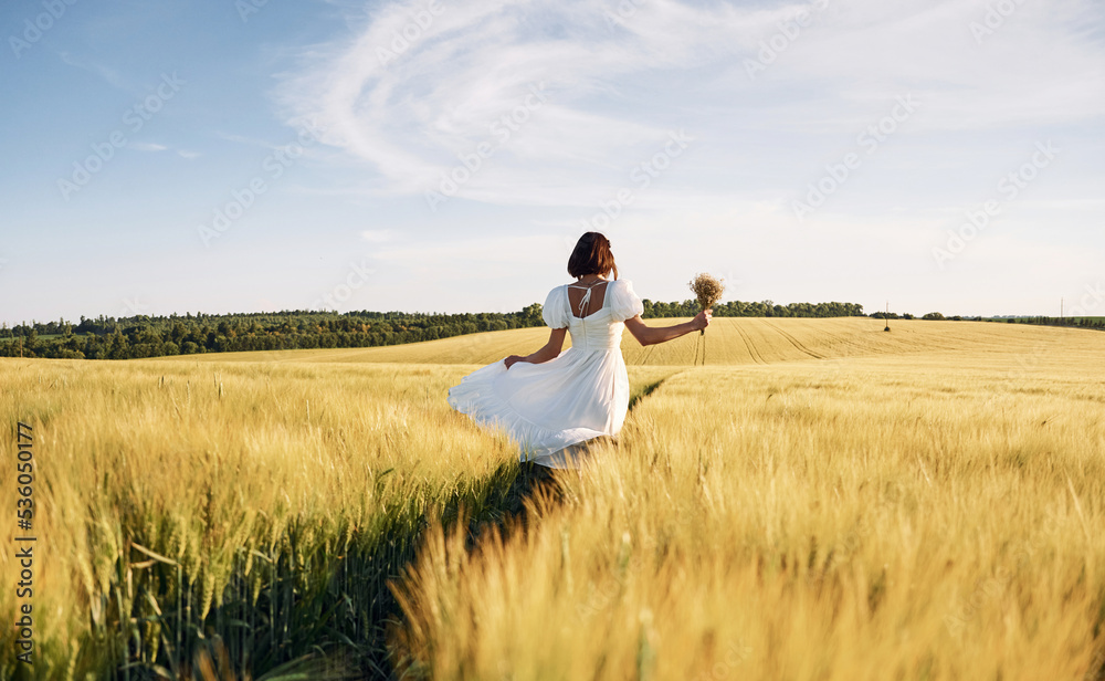 Having a walk. Beautiful young bride in white dress is on the agricultural field at sunny day