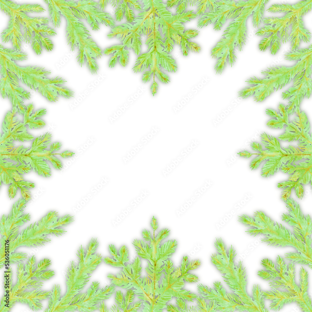 Green spruce branches. Christmas tree. Square Christmas greeting card. Watercolor hand-drawn art. Artistic illustration on white background.