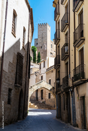 Fototapeta Naklejka Na Ścianę i Meble -  Suda castle in Tortosa, Tarragona, Catalonia, Spain