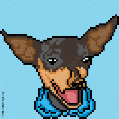 cute dog character with pixel art photo