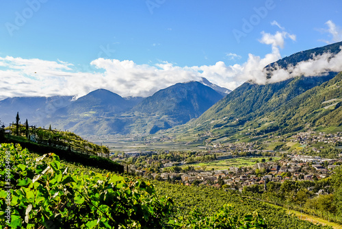 Meran, Dorf Tirol, Weinberg, Weinpergola, Aussichtspunkt, Etschtal, Etsch, Wanderweg, Spazierweg, Meranerland, Vinschgau, Südtirol, Herbst, Herbstsonne, Erntezeit, Italien
