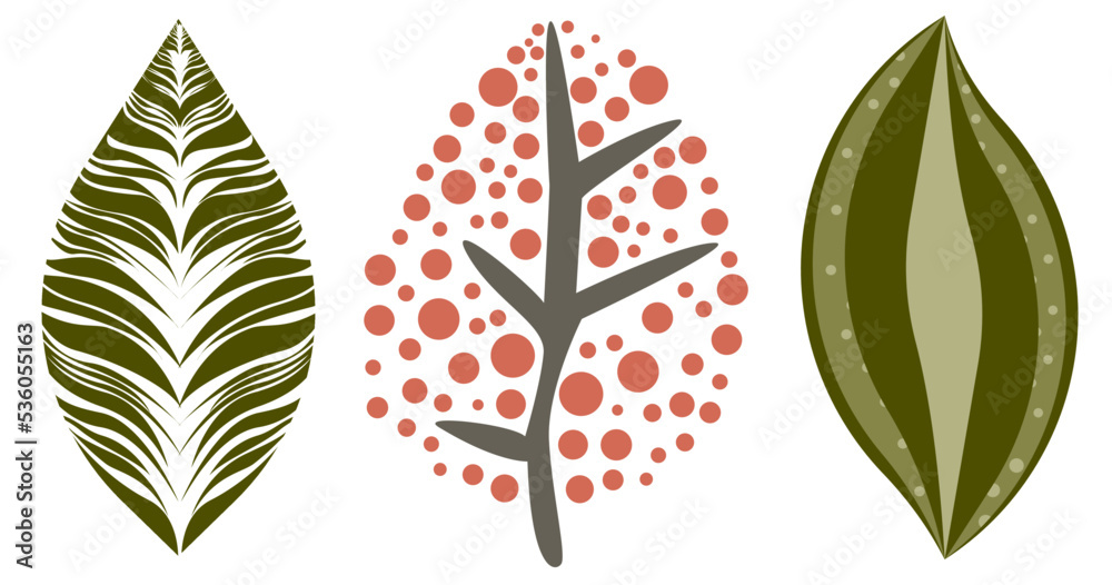 Fototapeta premium Tree Leaves set with 3 types of tree leaf isolated vector on white background.