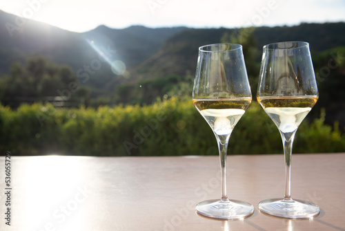 Two white wine glasses on mountain landscape background