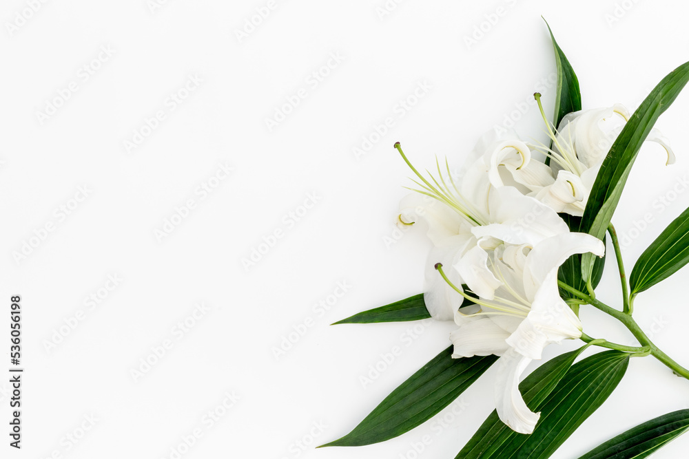 Branch of white lilies as symbol of the funeral. Mourning concept