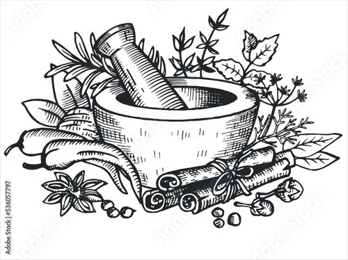 A set of spices with a mortar. Cinnamon, chili pepper, thyme, mint, dill, bay leaf, rosemary.