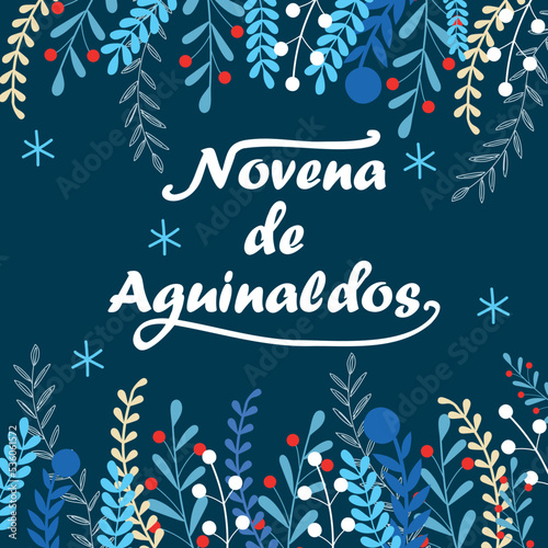 Decorative winter elements on dark blue background. Ninth of Bonuses Spanish text. Vector illustrtion